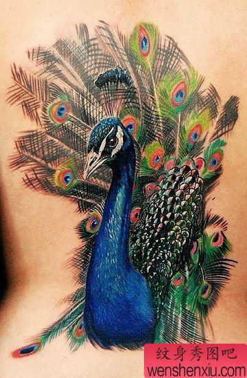 一幅侧腰凤凰纹身图案