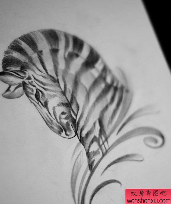 纹身秀图吧推荐一幅素描斑马刺青图案