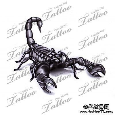 一幅蝎子纹身手稿图案