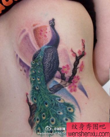 纹身秀图吧推荐一幅腰部彩色凤凰纹身图案