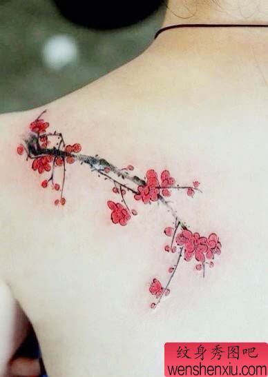 一幅肩部梅花纹身图案