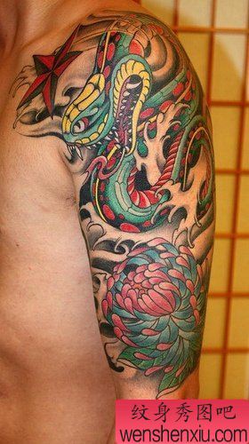 一幅半胛彩色蛇菊花纹身图案