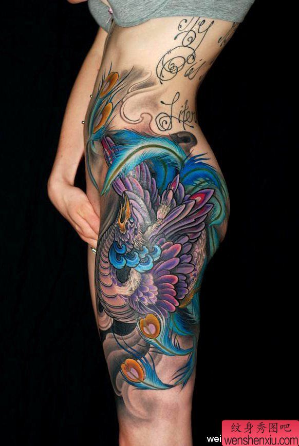 纹身秀图吧推荐一幅女人腰部彩色凤凰纹身图案