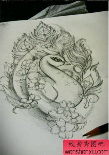 纹身秀图吧推荐一幅孔雀纹身手稿图案