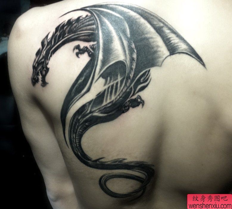 纹身秀图吧推荐肩背飞龙纹身图案