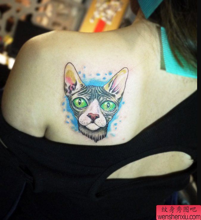 一幅女人肩背彩色猫纹身图案