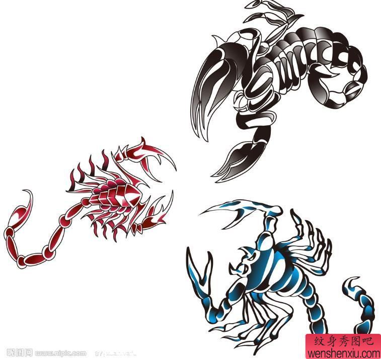 一幅蝎子纹身手稿图案