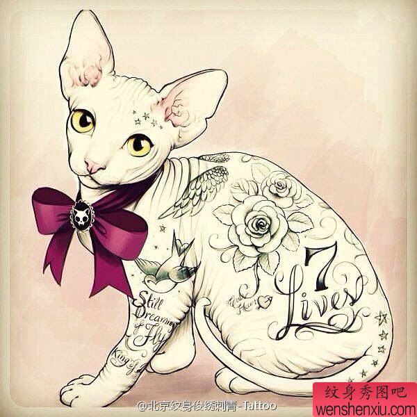 纹身秀图吧推荐一幅漂亮的猫咪纹身图案