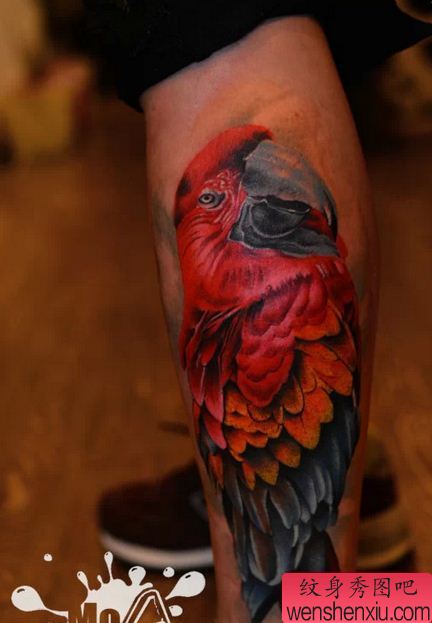 一幅腿部彩色猫头鹰纹身图案