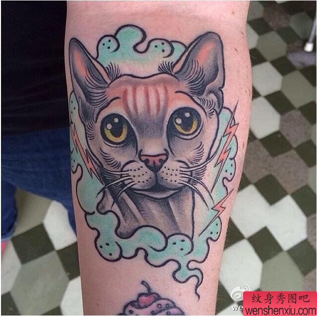 纹身秀图吧推荐一幅手臂猫咪纹身图案