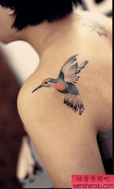 一幅女人肩背小蜂鸟纹身图案