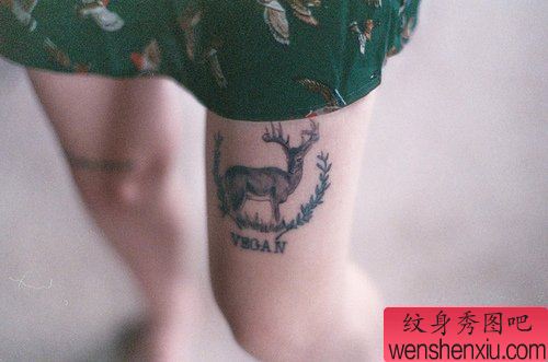 纹身秀图吧推荐一幅女人腿部小鹿纹身图案