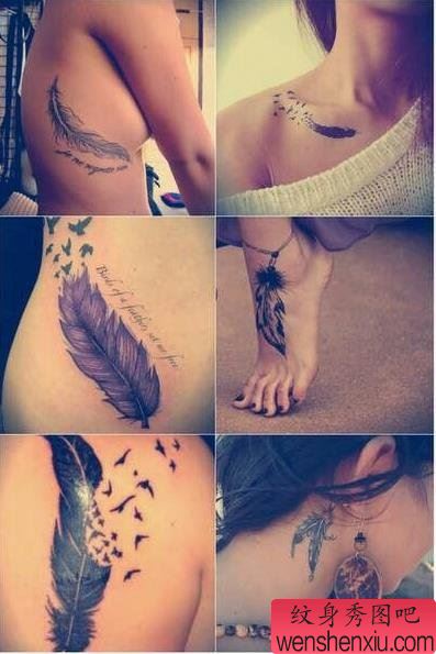 纹身秀图吧推荐一幅小清新羽毛纹身图案