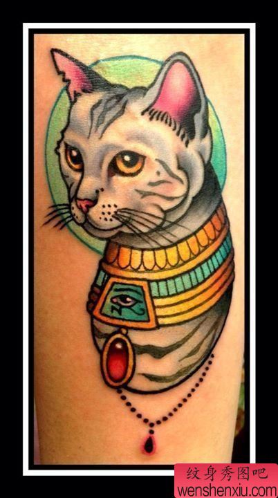 纹身秀图吧推荐一幅彩色猫咪纹身图案