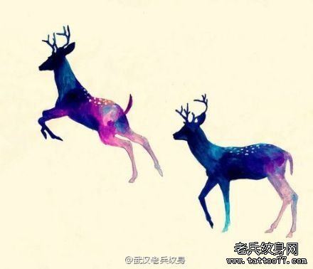 星空鹿纹身图案