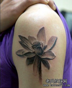 手臂莲花纹身图案