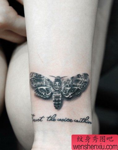 纹身秀图吧推荐一幅手腕蛾纹身图案