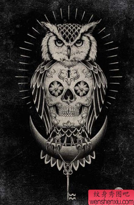 流行个性猫头鹰纹身手稿图案