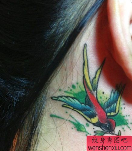 纹身秀图吧推荐一幅耳后彩色燕子纹身图案