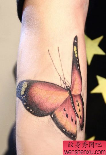 纹身秀图吧推荐一幅手臂蝴蝶纹身图案