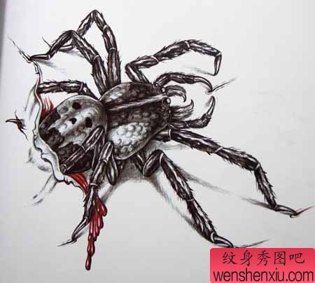 一幅欧美蜘蛛纹身图案