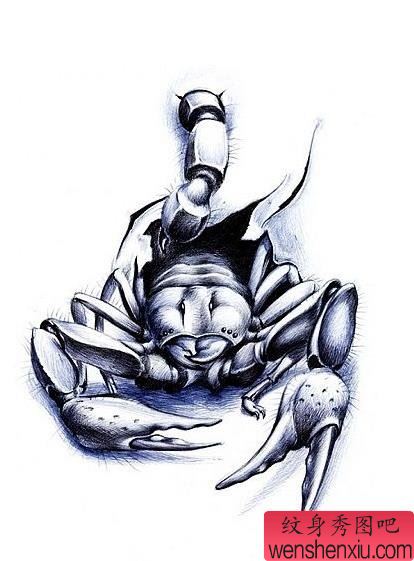 一幅蝎子纹身图案