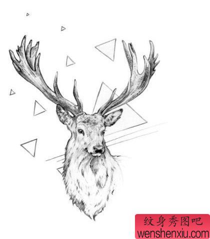 小鹿纹身手稿图案