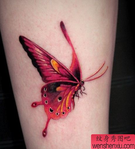 彩色蝴蝶纹身图案