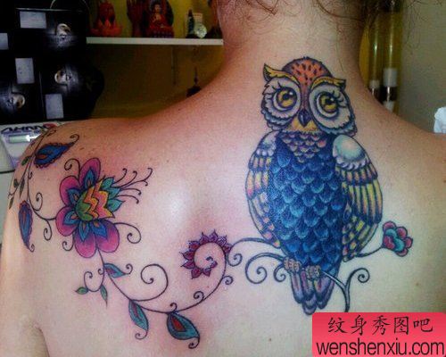 女人彩色肩背猫头鹰纹身图案