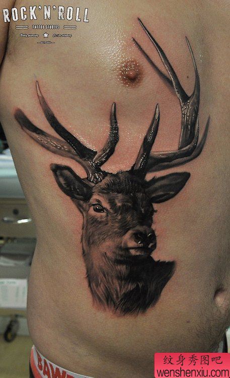 侧腰羚羊纹身图案