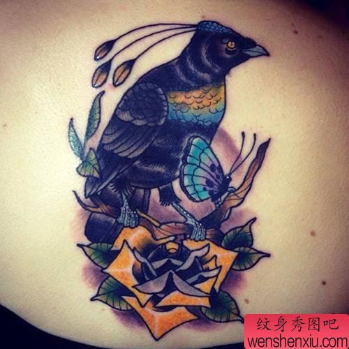 纹身秀图吧推荐一幅侧腰彩色鸟纹身图案