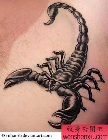 蝎子纹身图案