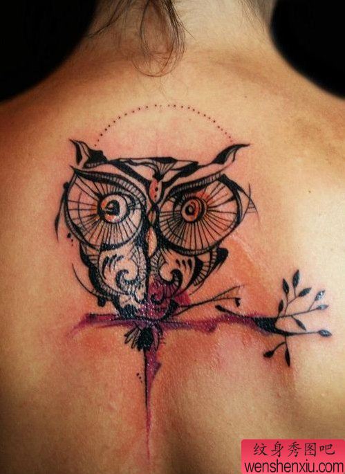 背部猫头鹰纹身图案