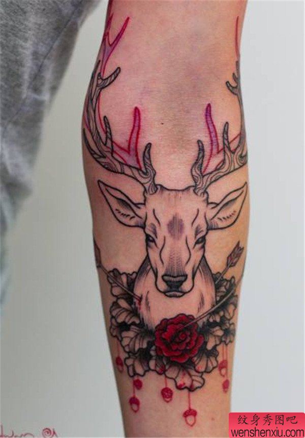 一幅手臂个性羚羊纹身图案