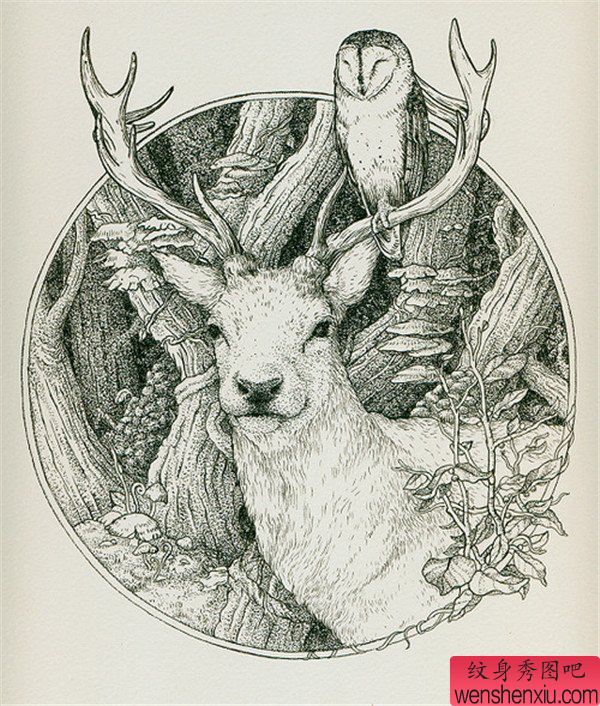 黑白素描羚羊纹身图案