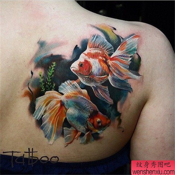 纹身秀图吧推荐一幅肩背彩色金鱼纹身图案