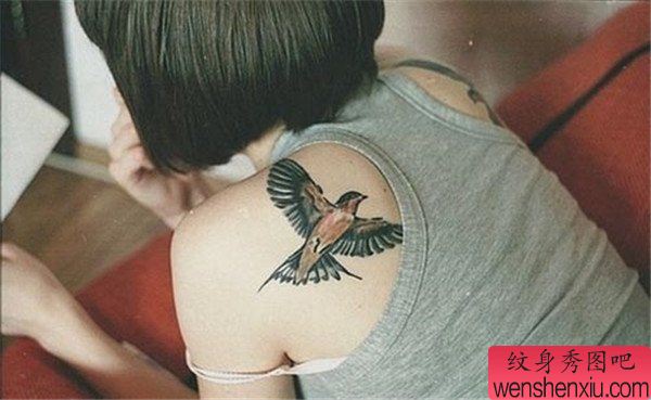 女人肩背燕子纹身图案