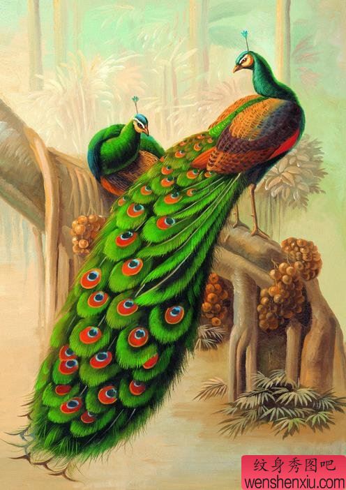 一幅油画风格的孔雀纹身手稿图案