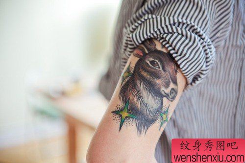 手臂彩色羚羊纹身图案