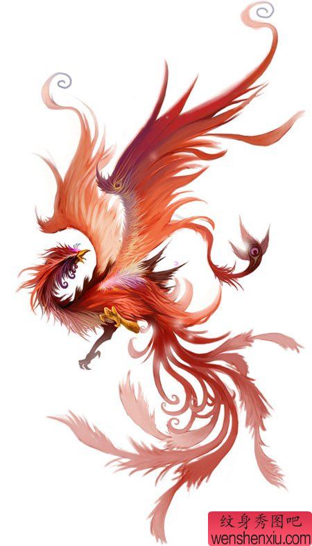 纹身秀图吧推荐一幅个性彩色凤凰纹身图案
