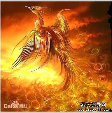 火凤凰文身作品