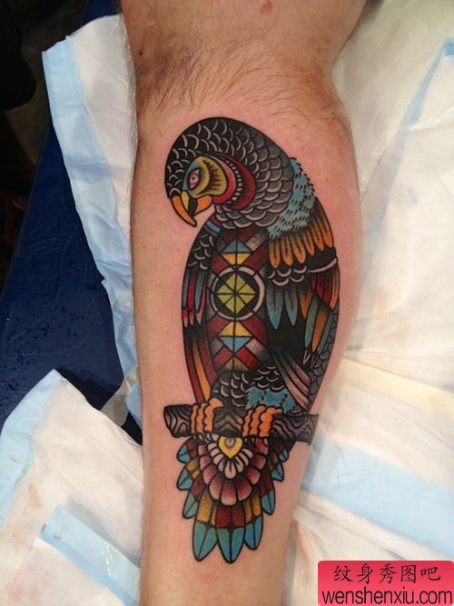 腿部鹦鹉文身作品
