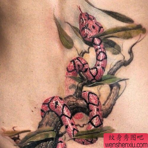 文身秀图吧推荐一幅腰部蛇文身作品