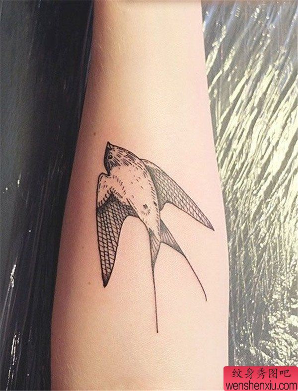 胳膊燕子文身作品