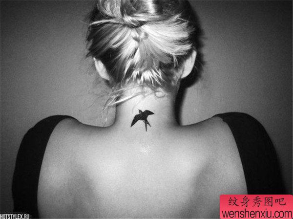 女人脖子燕子文身作品