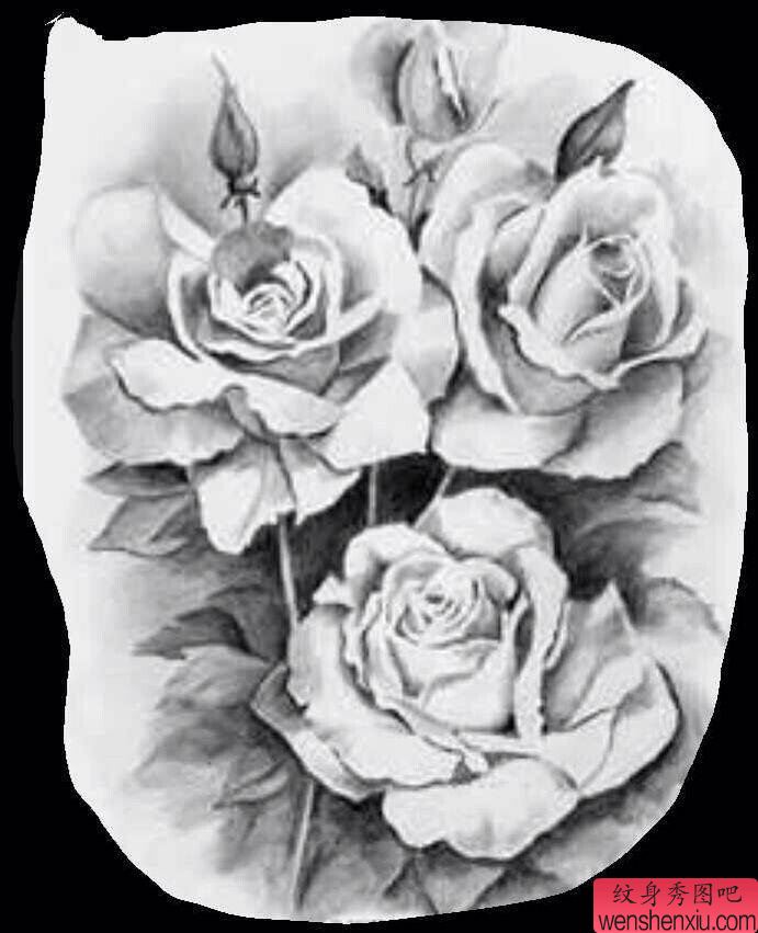 玫瑰花文身作品