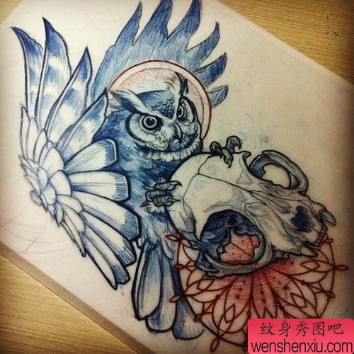 猫头鹰骷髅文身手稿作品