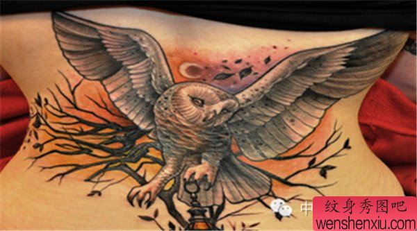 创意的猫头鹰文身作品