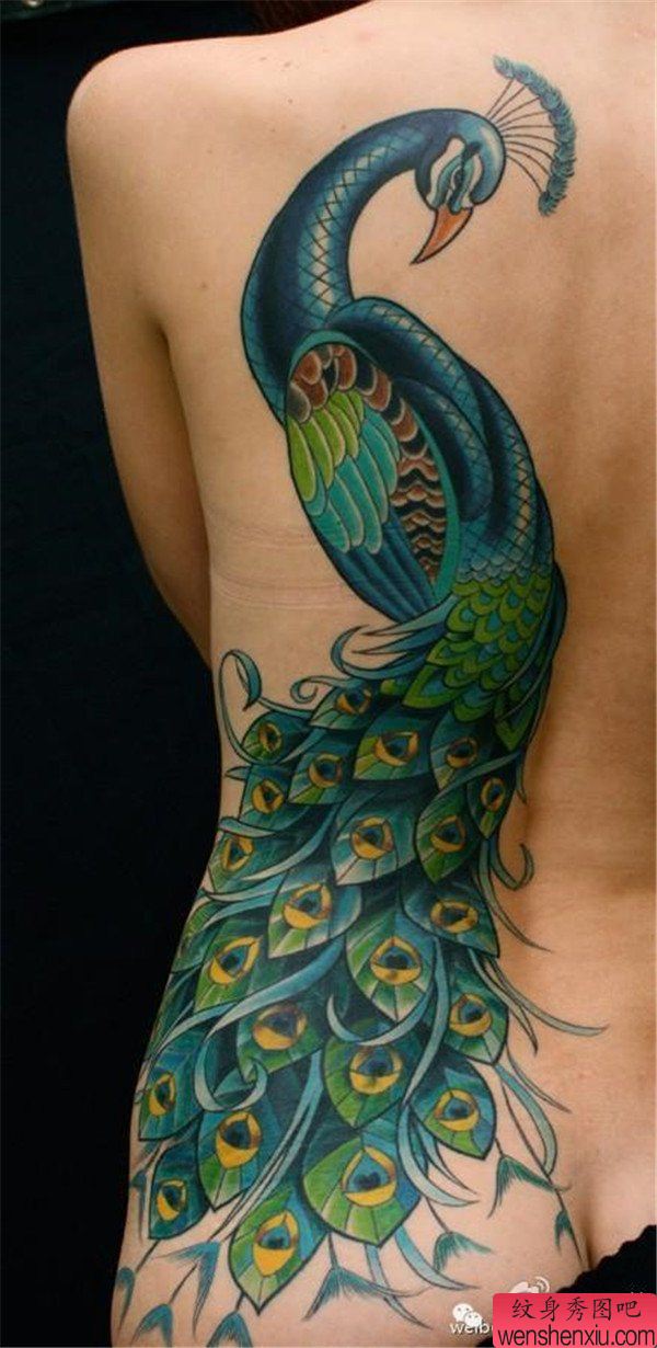文身秀图吧推荐一组孔雀文身作品