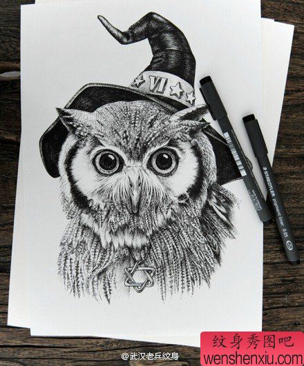 萌神猫头鹰文身手稿作品